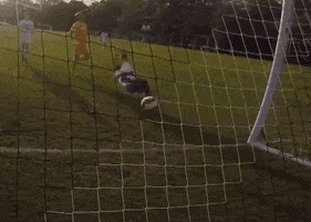 GIF by Robert Morris University Athletics