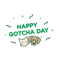 Adopt Dont Shop Furbaby Sticker by Healthy Spot