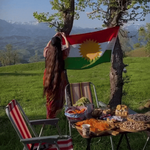 Flag Al GIF