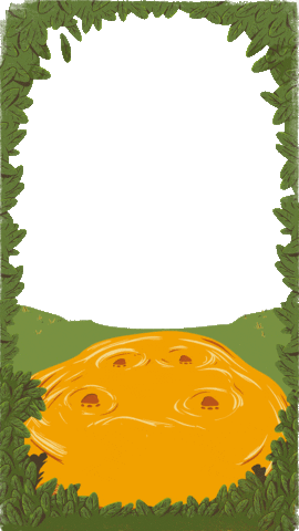 Summer Beer Sticker by Cerveza Patagonia