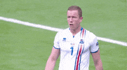 euro 2016 GIF by Sporza
