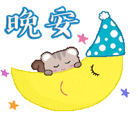 Good Night Sticker