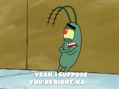 season 8 GIF by SpongeBob SquarePants