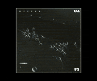 Video Glitch GIF by Morena Daniela