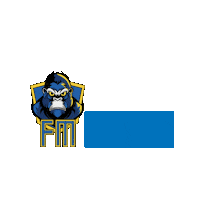 ColegioFerreiraMaster master colegio fm ferreira Sticker