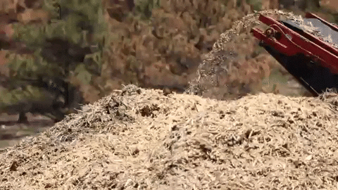 allisonsylte giphyupload GIF