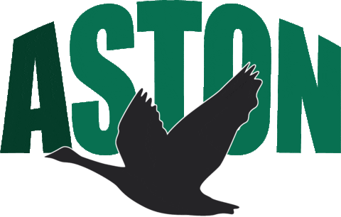 astonuni teamaston Sticker by Aston University