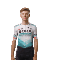 BORA-hansgrohe cycling bora band of brothers hansgrohe Sticker