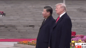 zheng zhi GIF