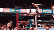 lucha libre mexico GIF