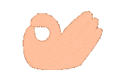 Animation Ok Sticker by youmotion.com
