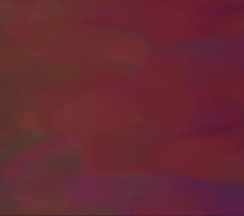 GIF by Canek