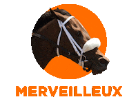WoodbineRacetrack horse racing woodbine queens plate betwoodbinetb Sticker