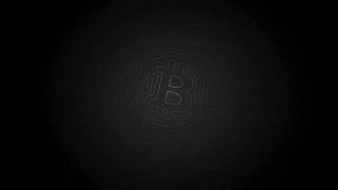Crypto Bitcoin GIF by KAST
