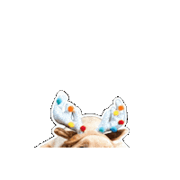 ShortStreetStore sss shortstreetstore shortstreetcafe short street cafe Sticker