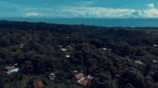Best Friend Oceans GIF by Ultra Records