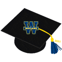 Graduation Class Of 2021 Sticker by Wayland Baptist University