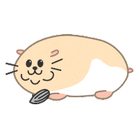 petforest hamster 고양이 강아지 사랑해 Sticker