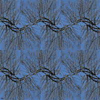 Wave Tree GIF by Trevor Anderson