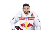 Sport Celebration Sticker by EC Red Bull Salzburg