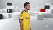 Proud Line Up GIF by Bundesliga