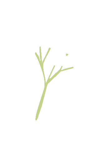 daintydaydreamsco flowers dream minimal floral Sticker