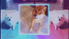 dog meme GIF by Mike Diva
