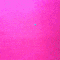 Celebrate Happy Birthday GIF by Julie Smith Schneider