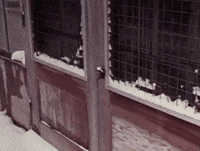 vintage hello GIF by Archives of Ontario | Archives publiques de l'Ontario