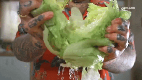 lettuce GIF by It's Suppertime