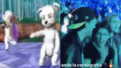 Alejandro Iannis GIF