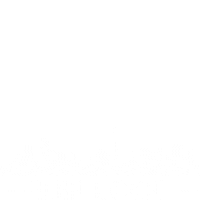 Vl Sticker by cervejaventolivre