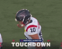 Montreal Celebrates GIF