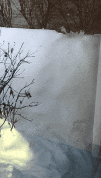 Snow Slide GIF by Valley Zoo Development Society