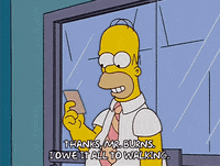 homer simpson GIF