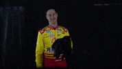 Joey Logano Racing GIF by Team Penske