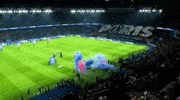 Paris Saint-Germain Psg GIF