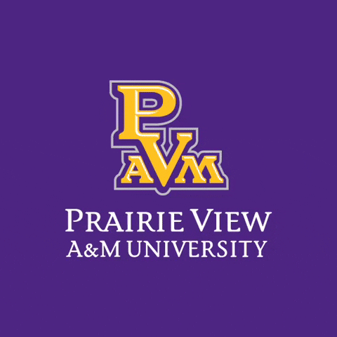 PVAMU1876 pvamu prairie view am university pv proud pvamu purple and gold GIF