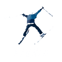 Happy Ski Jump Sticker by skibig3