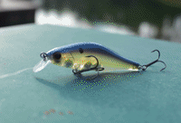 GIF by Mystery Tackle Box