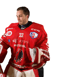 Hockey Goaly Sticker by HDD SIJ Acroni Jesenice