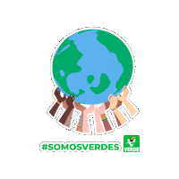 PartidoVerdeMX partido verde partidoverde partidoverdemex somosverdes Sticker