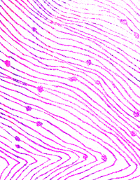 color pattern gif GIF by Yvonne Cheng