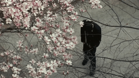 Need Me Music Video GIF by Lil Tecca