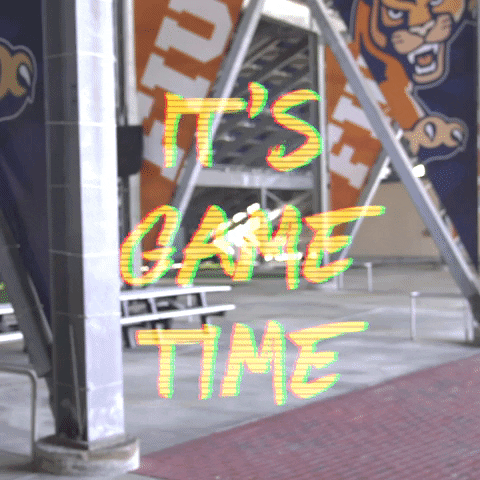 gameday fiupanthers GIF by FIU