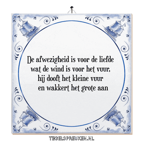 Humor Wind Sticker by Tegelspreuken.nl