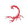Scorpion Cds Sticker by charlestondayschool