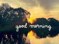 Film Photography GIF by GT8Studios