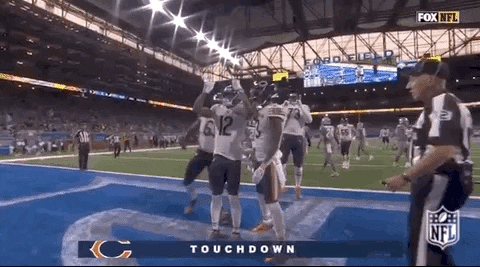 2019 Nfl Football GIF by NFL