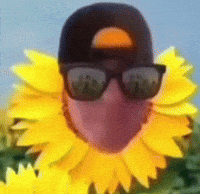 txiqs sunflower irony sunflowerman thats what i wouldve did GIF